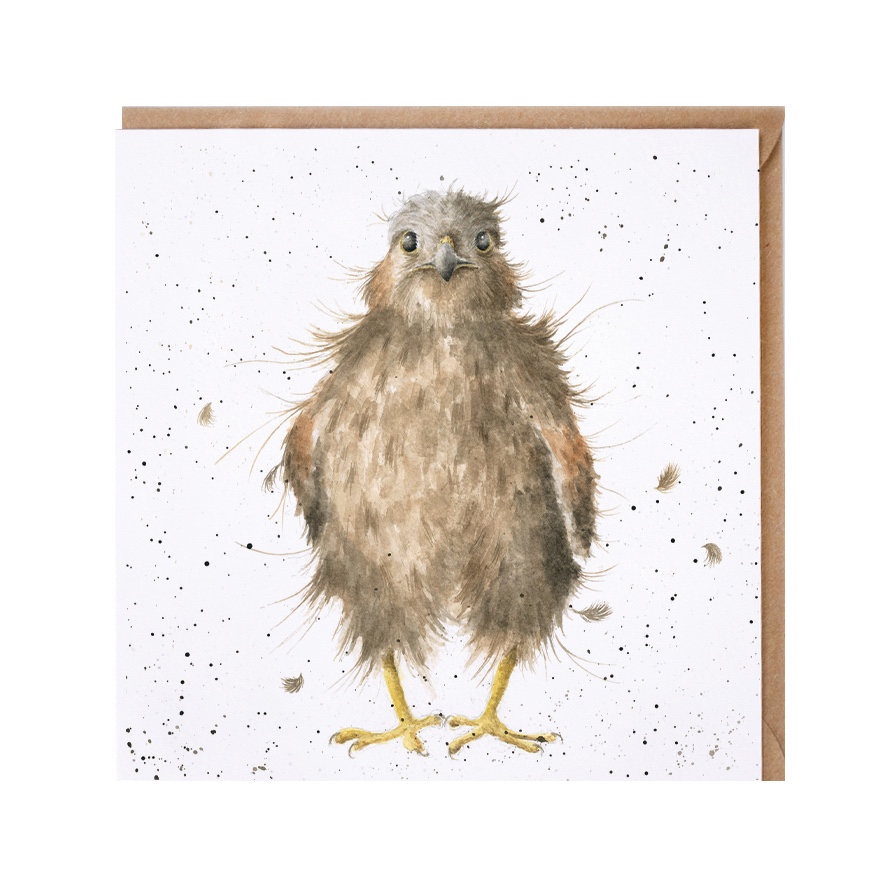 Illustrated kestrel greeting card