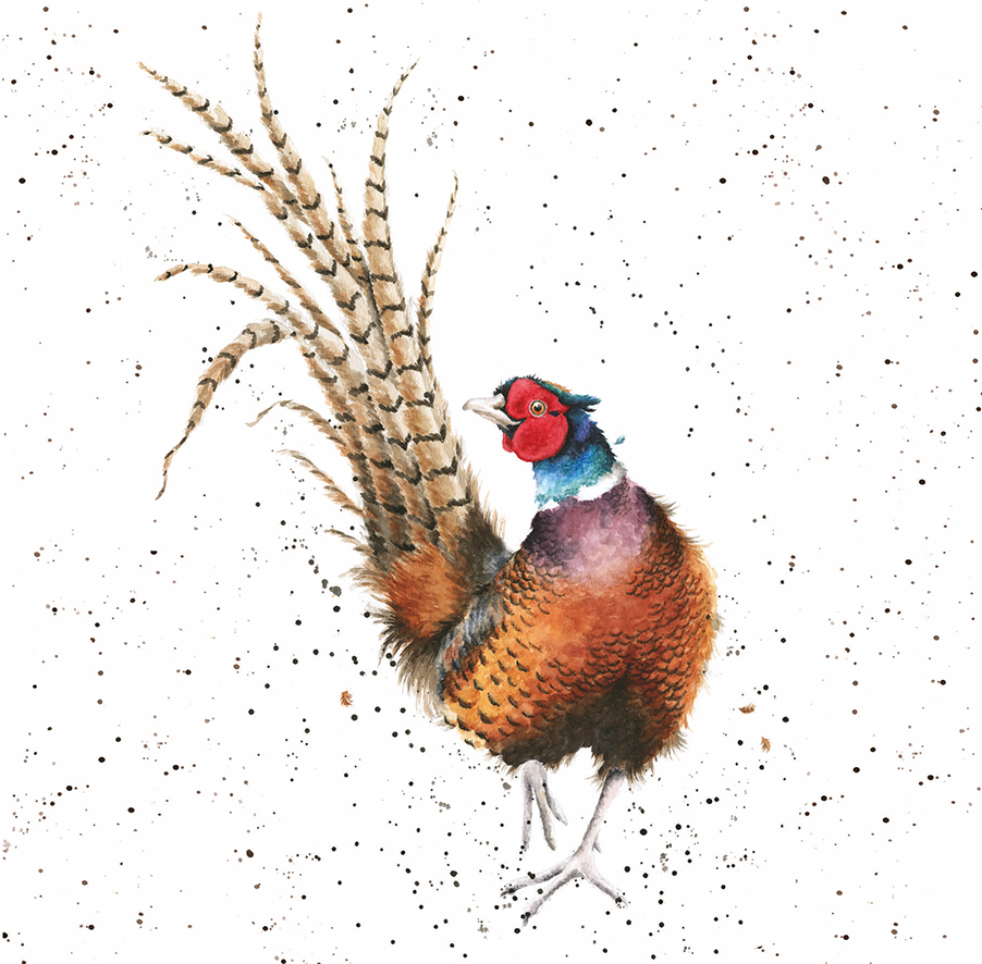 'Ready for My Close Up' Pheasant artwork print