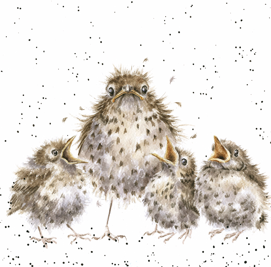 'Frazzled' sparrow artwork print