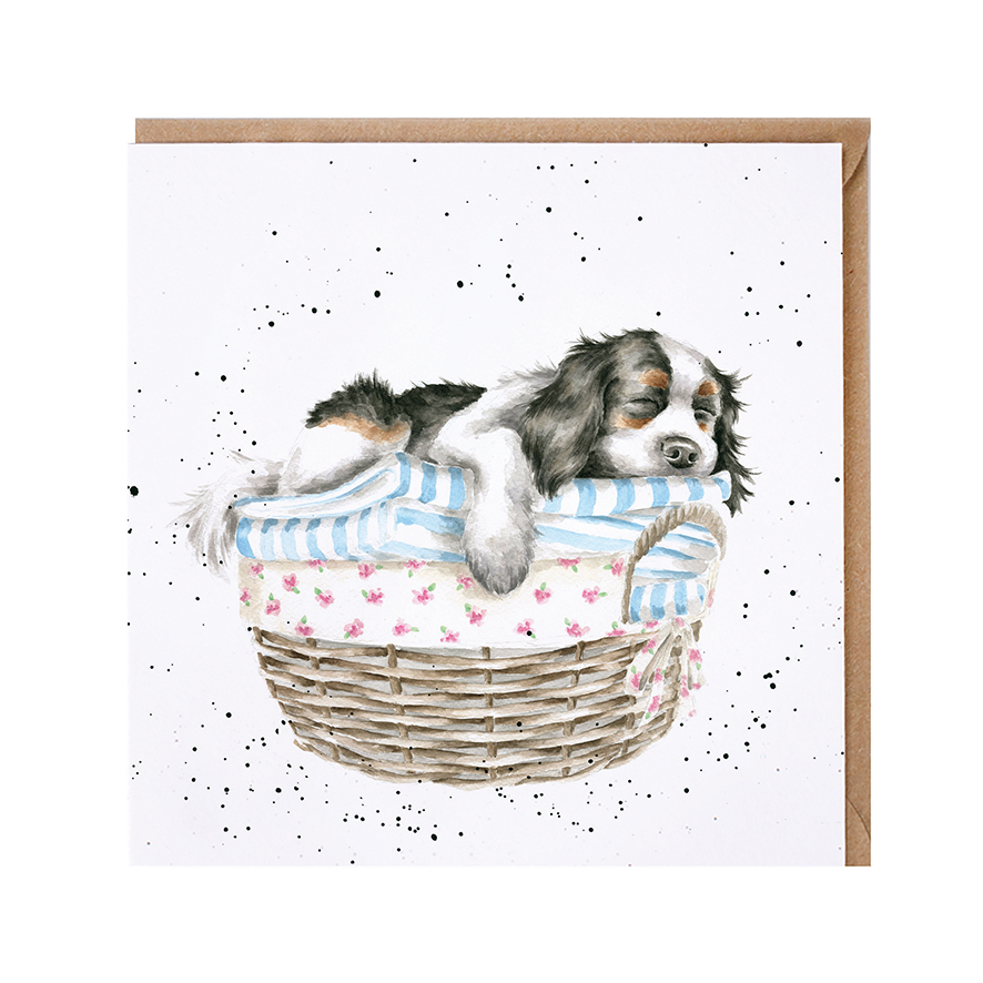 'Wash, Dry, Fold Repeat' dog card