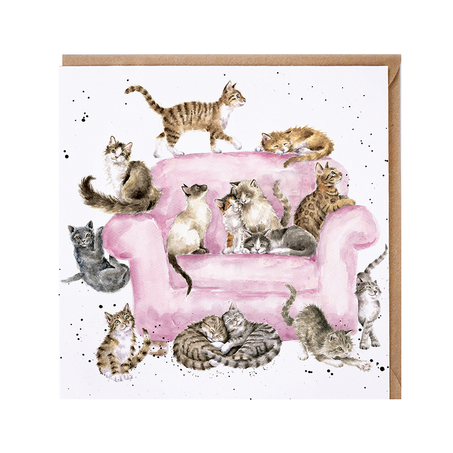 'Cattitude' cat card