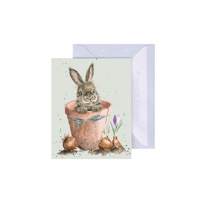 Flower Pot Bunny' Gift Enclosure