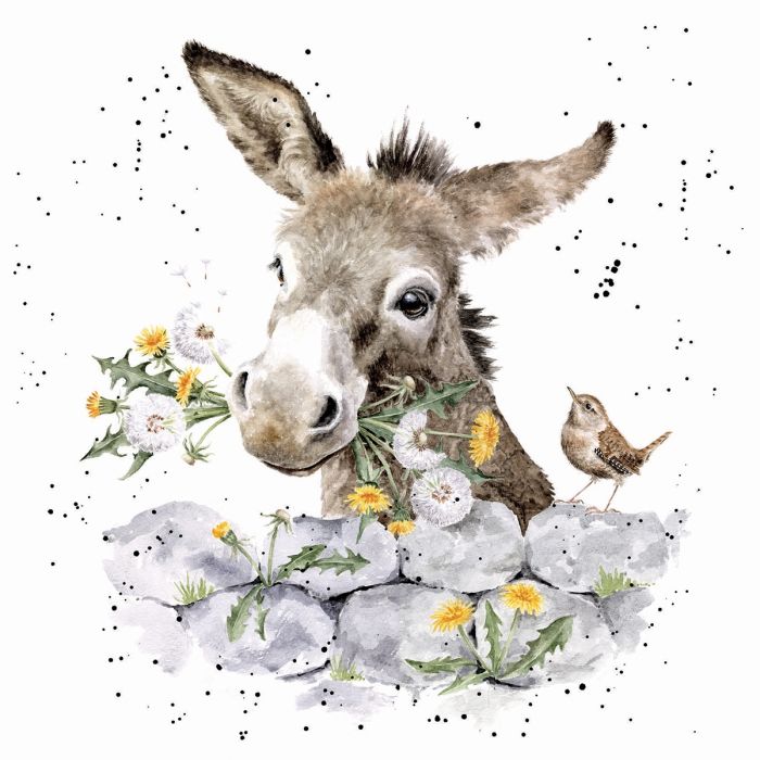 'Fine and Dandy' Donkey Print