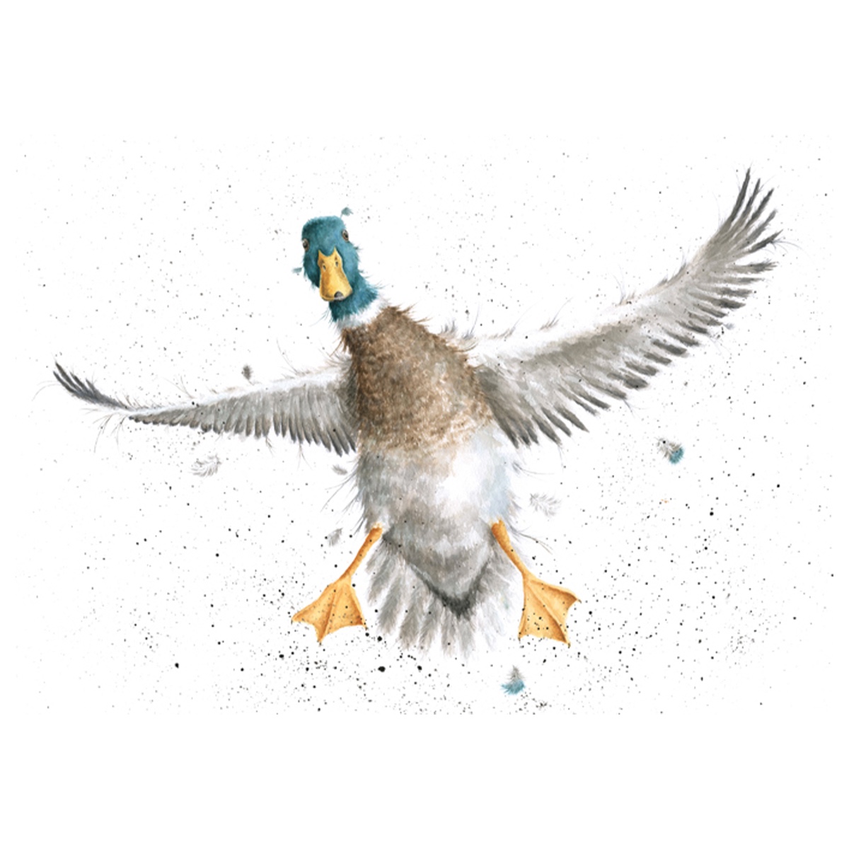illustrated mallard print