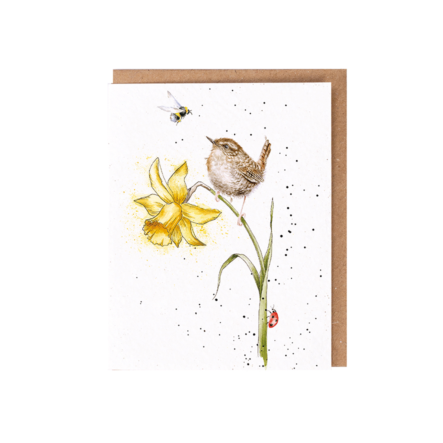 Wren seed card