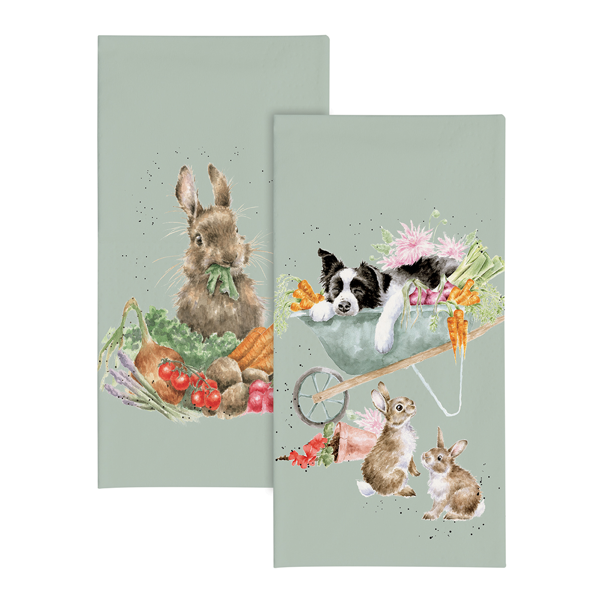Border collie, rabbit and vegetable illustrated pocket tissues