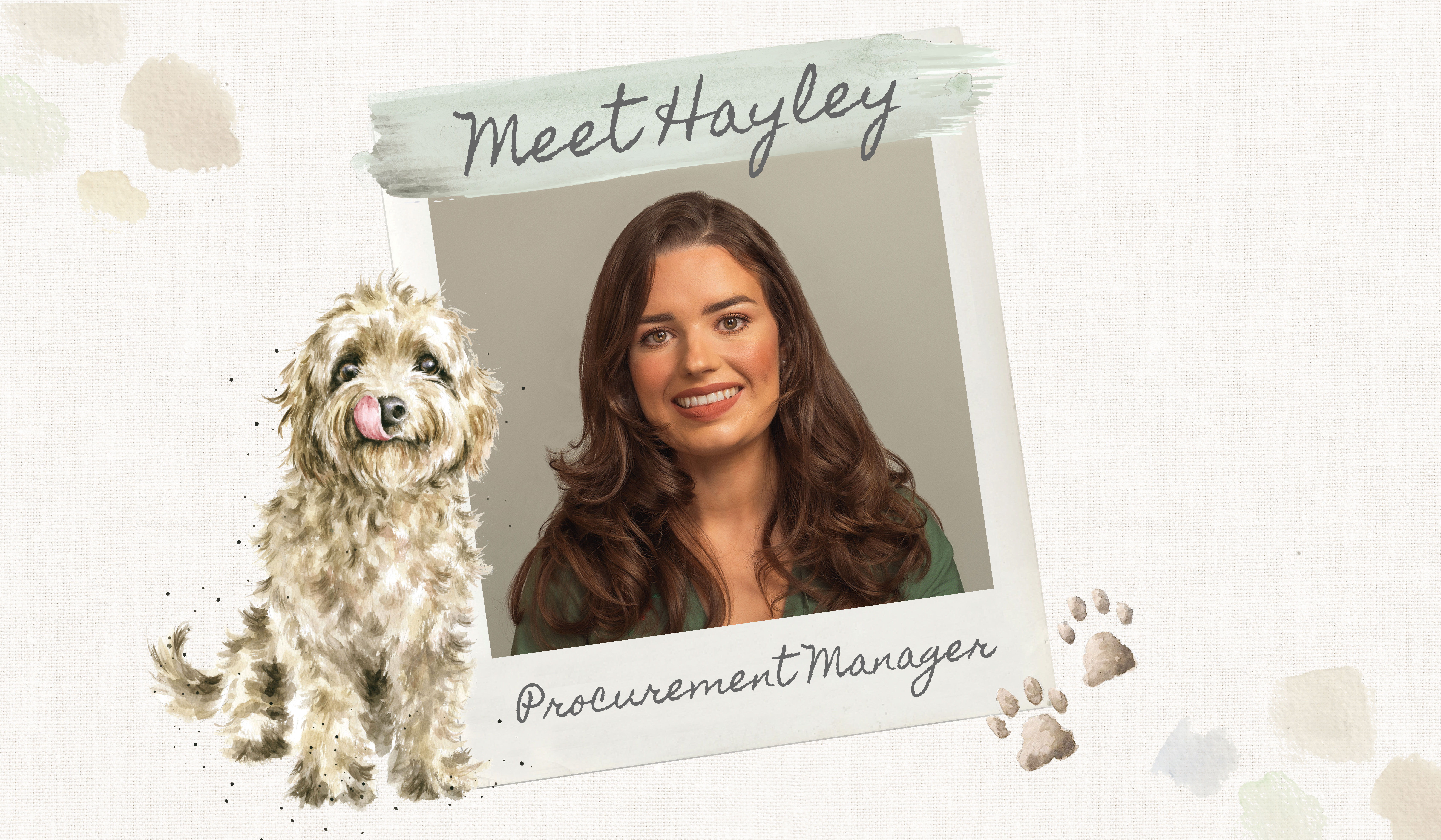 Meet the Wrendale family - Hayley, Procurement Manager