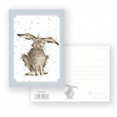 P052 'Hare-Brained' Postcard