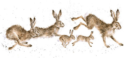 Wrendale Designs Hares