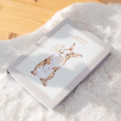 Diary Planner 2027