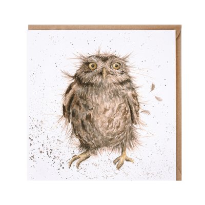 'What a Hoot' owl card