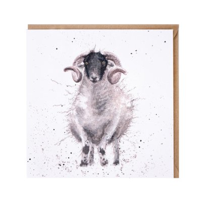 'Feeling Sheepish' sheep card