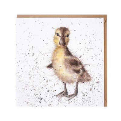 'Just Hatched' duckling card