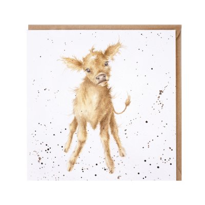 'Jersey Girl' cow card