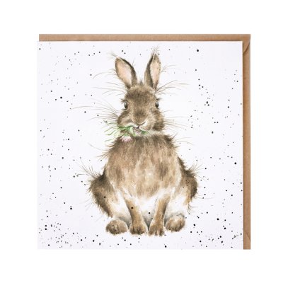 'Daisy' rabbit card