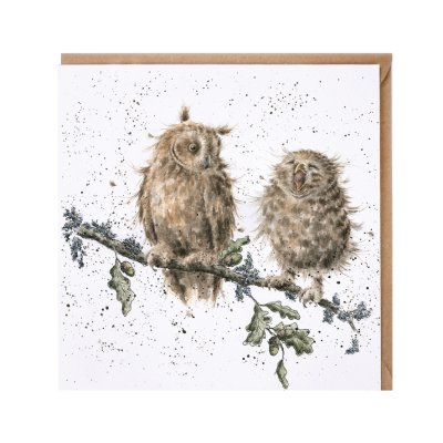'The Twits' owl card