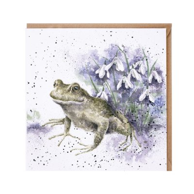 'The Happy Frog' frog card