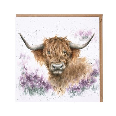 'Highland Heathers' highland cow