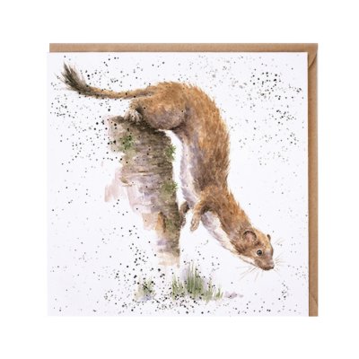 'The Hunter' stoat card