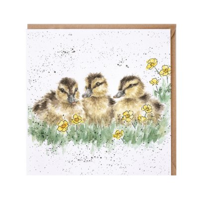 'Buttercup' duckling card