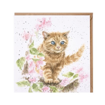 'The Marmalade Cat' cat card