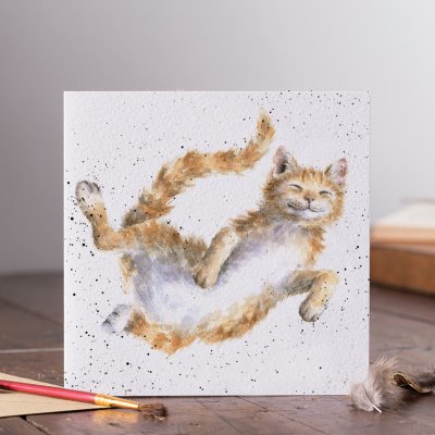 &#039;The Cat Nap&#039; cat card