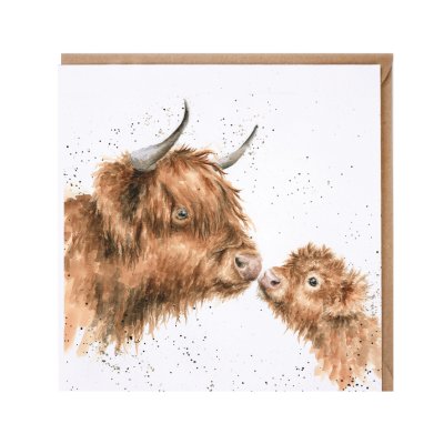 'Gentle One' highland cow card