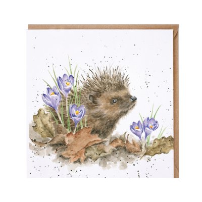 'New Beginnings' hedgehog card