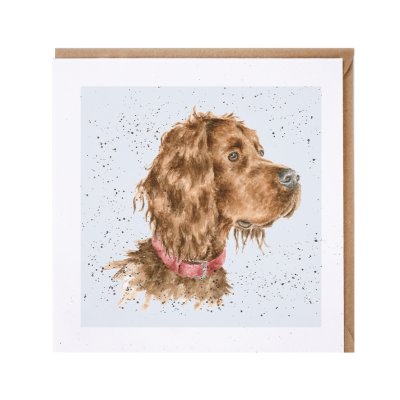 Red setter dog greeting card