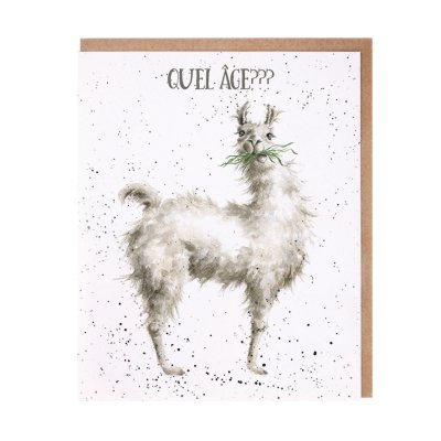 Llama French birthday card
