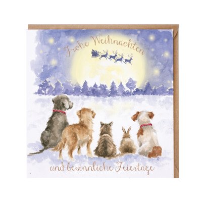 Dog, cat and rabbit looking at the night sky German Christmas Card