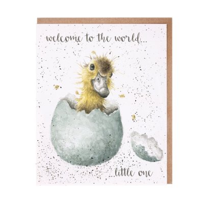 Duckling in an blue egg new baby card