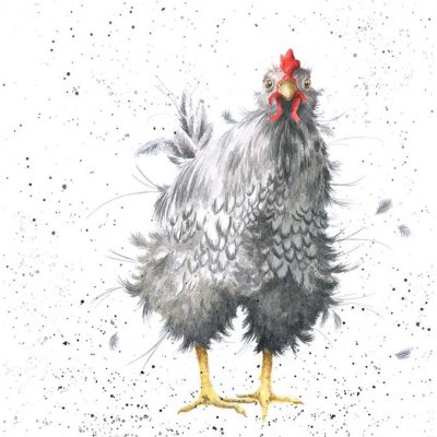'Curious Hen' artwork print