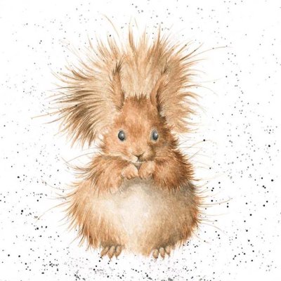'Redhead' squirrel artwork print