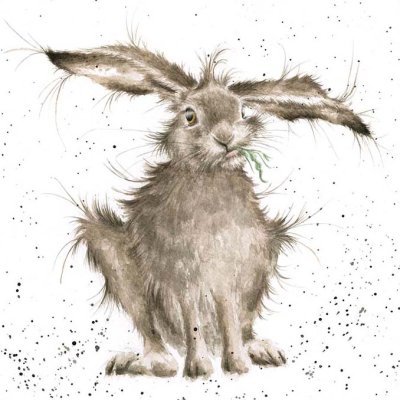 'Hare-Brained' hare artwork print