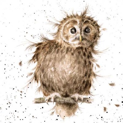 'Tawny' owl artwork print