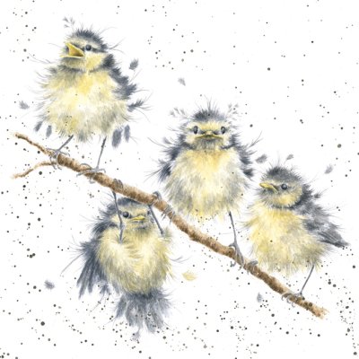 'Hanging Out with Friends' birds on a branch artwork print