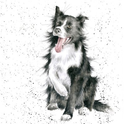 'Shadow' Border Collie dog artwork print