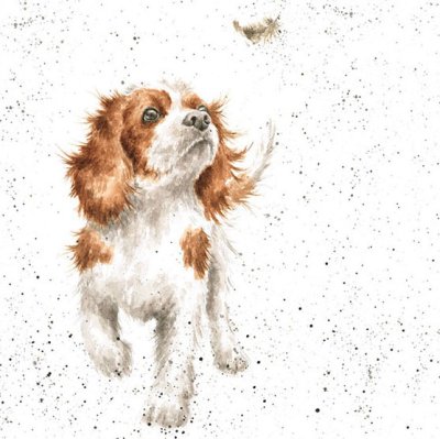 'Chasing Feathers' dog artwork print