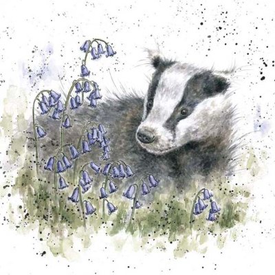 'The Bluebell Wood' badger artwork print
