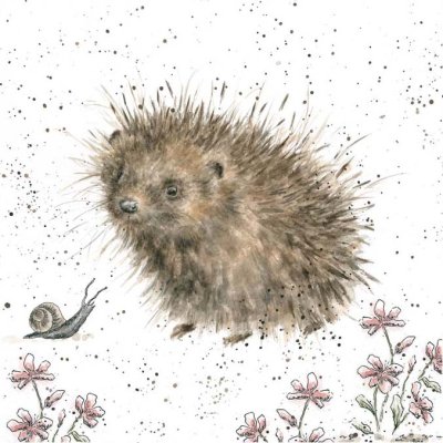 'A Prickly Encounter' hedgehog and snail artwork print
