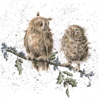 'The Twits' owl artwork print