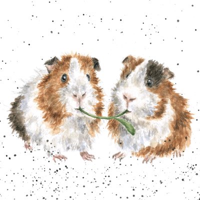 'Lettuce be Friends' guinea pig artwork print