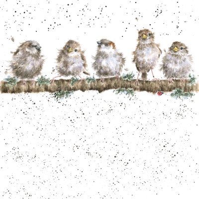 'Chirpy Chaps' sparrows on a branch artwork print