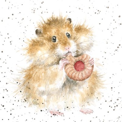 'The Diet Starts Tomorrow' hamster nibbling a biscuit artwork print