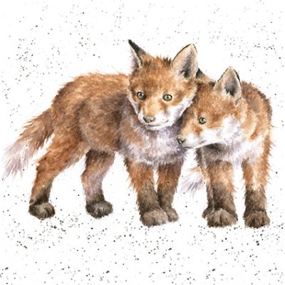 'Sibling Love' fox artwork print