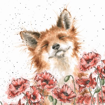 'Poppy Field' fox amongst poppies artwork print