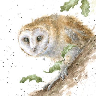 'Moonlight' owl artwork print