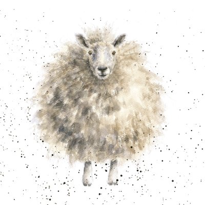 'The Woolly Jumper' sheep artwork print