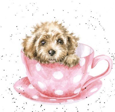 'Teacup Pup' puppy in a teacup artwork print